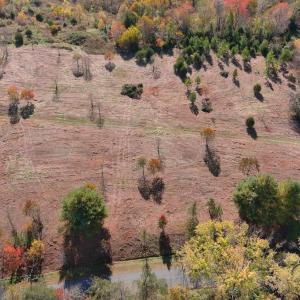 Photo #8 of OLD BARBOURSVILLE RD, GORDONSVILLE, VA 135.8 acres