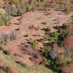 Photo #9 of OLD BARBOURSVILLE RD, GORDONSVILLE, VA 135.8 acres