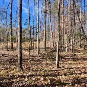 Photo #2 of VERMONT RD, RHOADESVILLE, VA 5.5 acres