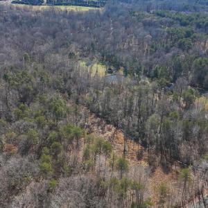 Photo #9 of VERMONT RD, RHOADESVILLE, VA 5.5 acres