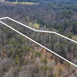 Photo #8 of VERMONT RD, RHOADESVILLE, VA 5.5 acres