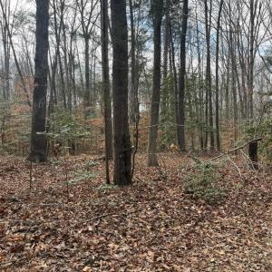 Photo #1 of 6317 LITTLE ACRES LN, WOODFORD, VA 5.5 acres