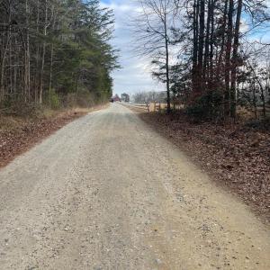 Photo #2 of 6317 LITTLE ACRES LN, WOODFORD, VA 5.5 acres