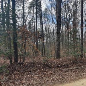 Photo #3 of 6317 LITTLE ACRES LN, WOODFORD, VA 5.5 acres