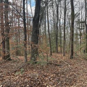 Photo #4 of 6317 LITTLE ACRES LN, WOODFORD, VA 5.5 acres
