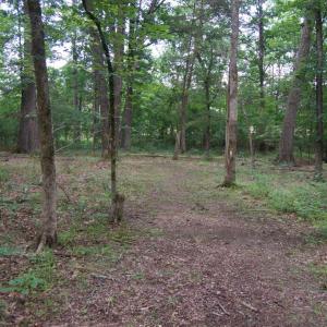 Photo #3 of ALGONQUIN TRL, CULPEPER, VA 3.4 acres