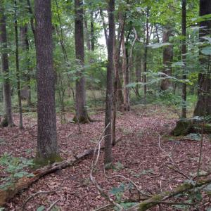 Photo #7 of ALGONQUIN TRL, CULPEPER, VA 3.4 acres