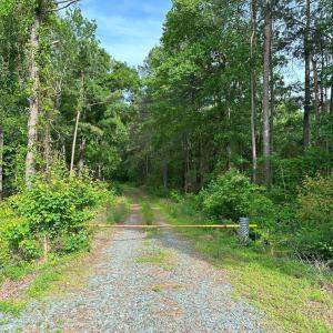 Photo #1 of HADEN MARTIN ROAD, PALMYRA, VA 137.7 acres