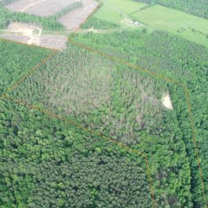 Photo #3 of HADEN MARTIN ROAD, PALMYRA, VA 137.7 acres