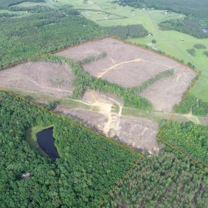 Photo #4 of HADEN MARTIN ROAD, PALMYRA, VA 137.7 acres