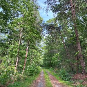 Photo #5 of HADEN MARTIN ROAD, PALMYRA, VA 137.7 acres