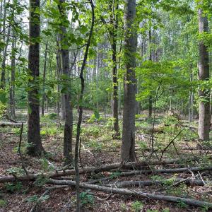 Photo #7 of HADEN MARTIN ROAD, PALMYRA, VA 137.7 acres