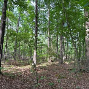 Photo #8 of HADEN MARTIN ROAD, PALMYRA, VA 137.7 acres
