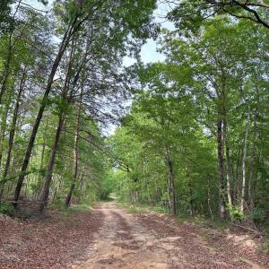 Photo #11 of HADEN MARTIN ROAD, PALMYRA, VA 137.7 acres