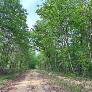 Photo #12 of HADEN MARTIN ROAD, PALMYRA, VA 137.7 acres