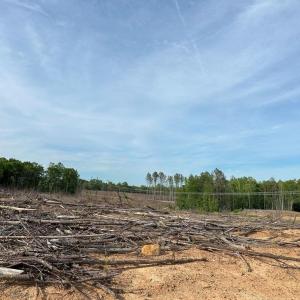 Photo #13 of HADEN MARTIN ROAD, PALMYRA, VA 137.7 acres