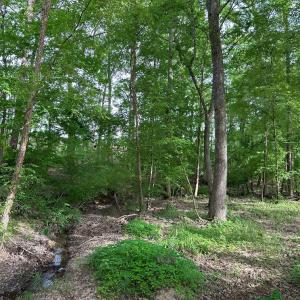 Photo #15 of HADEN MARTIN ROAD, PALMYRA, VA 137.7 acres
