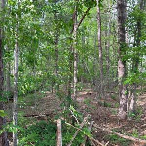 Photo #16 of HADEN MARTIN ROAD, PALMYRA, VA 137.7 acres