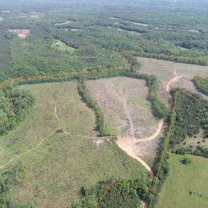 Photo #3 of WEST RIVER ROAD, SCOTTSVILLE, VA 249.0 acres