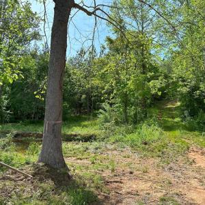 Photo #10 of WEST RIVER ROAD, SCOTTSVILLE, VA 249.0 acres