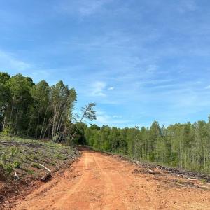 Photo #12 of WEST RIVER ROAD, SCOTTSVILLE, VA 249.0 acres