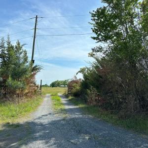 Photo #13 of WEST RIVER ROAD, SCOTTSVILLE, VA 249.0 acres