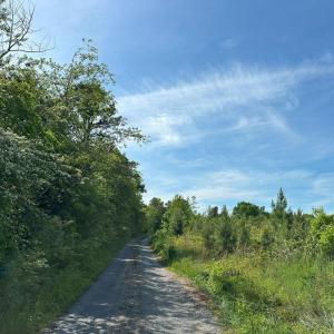 Photo #14 of WEST RIVER ROAD, SCOTTSVILLE, VA 249.0 acres