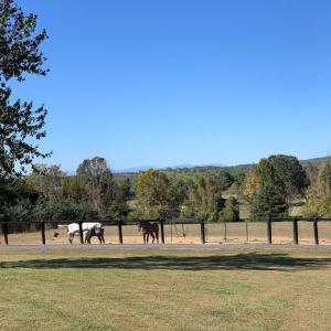 Photo #23 of 7351 LEIGH RD, WARRENTON, VA 18.0 acres