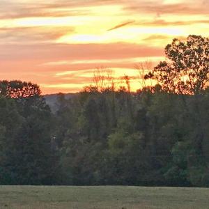 Photo #40 of 7351 LEIGH RD, WARRENTON, VA 18.0 acres