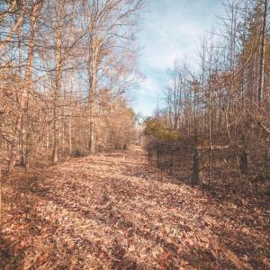 Photo #1 of COURTNEY SCHOOL ROAD, CATLETT, VA 196.0 acres