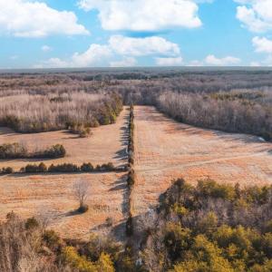 Photo #3 of COURTNEY SCHOOL ROAD, CATLETT, VA 196.0 acres