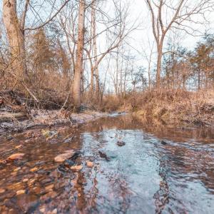 Photo #14 of COURTNEY SCHOOL ROAD, CATLETT, VA 196.0 acres