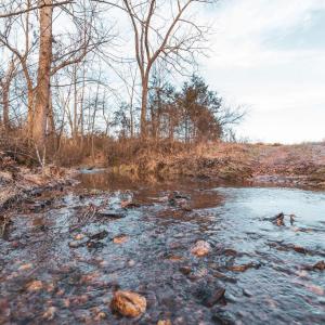 Photo #15 of COURTNEY SCHOOL ROAD, CATLETT, VA 196.0 acres