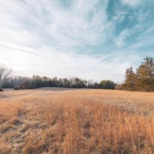 Photo #16 of COURTNEY SCHOOL ROAD, CATLETT, VA 196.0 acres