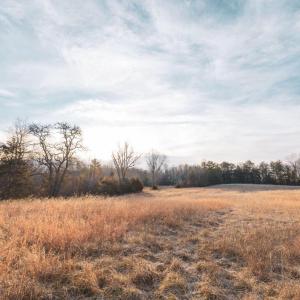 Photo #17 of COURTNEY SCHOOL ROAD, CATLETT, VA 196.0 acres