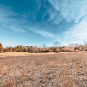 Photo #20 of COURTNEY SCHOOL ROAD, CATLETT, VA 196.0 acres