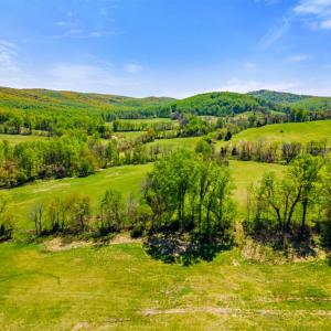 Photo #4 of BULL RUN MOUNTAIN RD, THE PLAINS, VA 284.0 acres