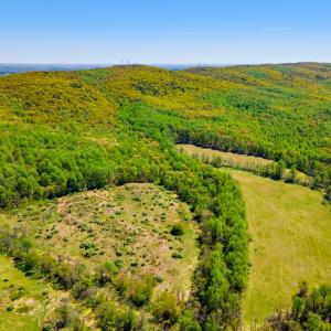 Photo #5 of BULL RUN MOUNTAIN RD, THE PLAINS, VA 284.0 acres