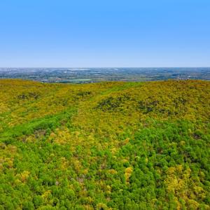 Photo #2 of BULL RUN MOUNTAIN RD, THE PLAINS, VA 284.0 acres