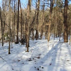 Photo #29 of CABIN BRANCH ROAD, MARSHALL, VA 3.0 acres