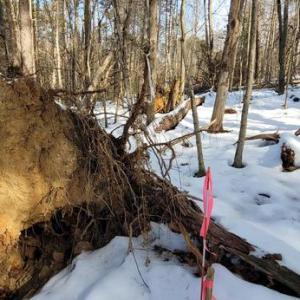 Photo #39 of CABIN BRANCH ROAD, MARSHALL, VA 3.0 acres