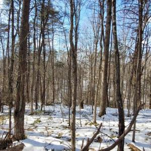 Photo #23 of CABIN BRANCH ROAD, MARSHALL, VA 3.0 acres