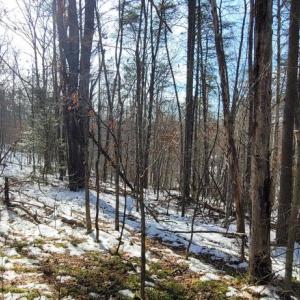 Photo #32 of CABIN BRANCH ROAD, MARSHALL, VA 3.0 acres