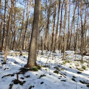 Photo #33 of CABIN BRANCH ROAD, MARSHALL, VA 3.0 acres