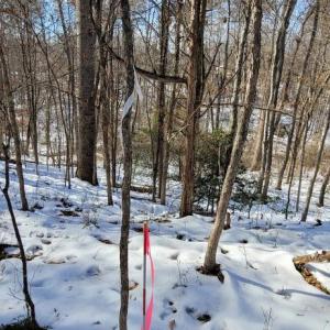 Photo #41 of CABIN BRANCH ROAD, MARSHALL, VA 3.0 acres
