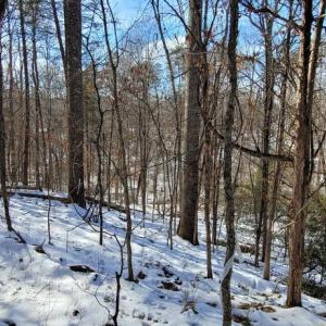 Photo #25 of CABIN BRANCH ROAD, MARSHALL, VA 3.0 acres