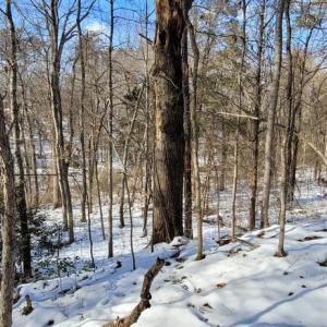 Photo #26 of CABIN BRANCH ROAD, MARSHALL, VA 3.0 acres