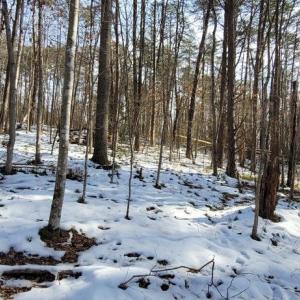 Photo #34 of CABIN BRANCH ROAD, MARSHALL, VA 3.0 acres
