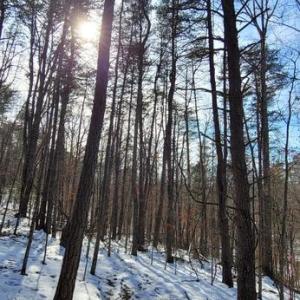 Photo #35 of CABIN BRANCH ROAD, MARSHALL, VA 3.0 acres