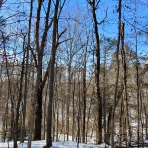 Photo #36 of CABIN BRANCH ROAD, MARSHALL, VA 3.0 acres